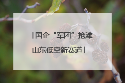 国企“军团”抢滩山东低空新赛道