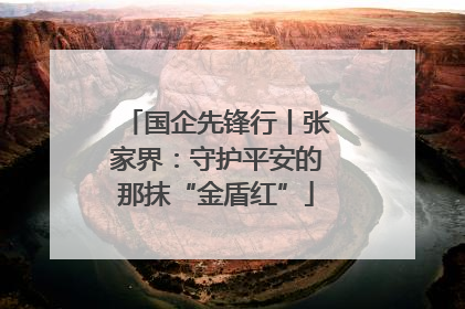国企先锋行丨张家界：守护平安的那抹“金盾红”