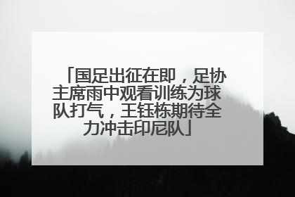 国足出征在即，足协主席雨中观看训练为球队打气，王钰栋期待全力冲击印尼队