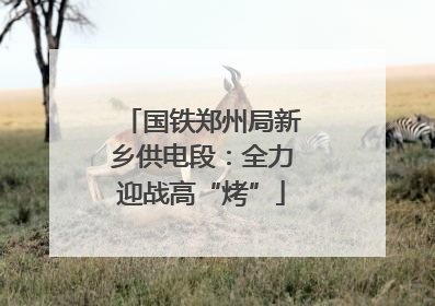 国铁郑州局新乡供电段：全力迎战高“烤”