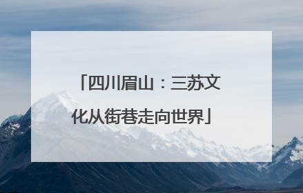 四川眉山：三苏文化从街巷走向世界
