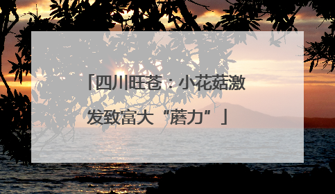 四川旺苍：小花菇激发致富大“蘑力”