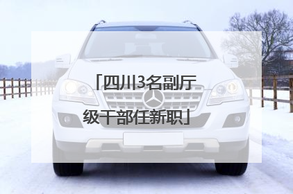 四川3名副厅级干部任新职