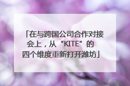 在与跨国公司合作对接会上，从“KITE”的四个维度重新打开潍坊