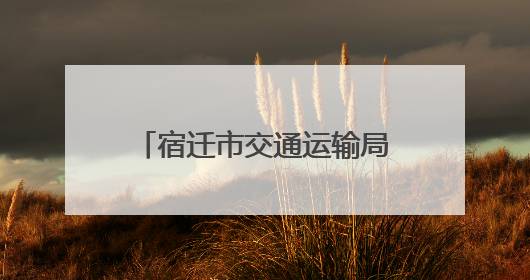 宿迁市交通运输局举办“‘粽’享浓情端午 弘扬传统文化”道德讲堂活动