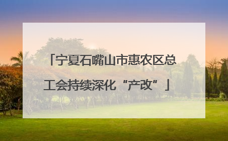 宁夏石嘴山市惠农区总工会持续深化“产改”