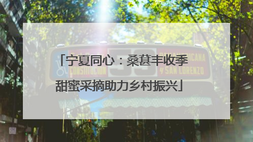 宁夏同心：桑葚丰收季 甜蜜采摘助力乡村振兴