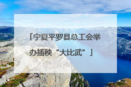 宁夏平罗县总工会举办插秧“大比武”