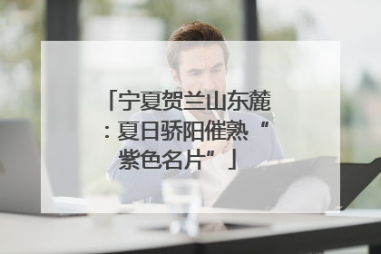 宁夏贺兰山东麓：夏日骄阳催熟“紫色名片”