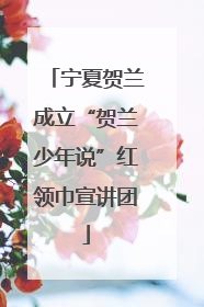 宁夏贺兰成立“贺兰少年说”红领巾宣讲团