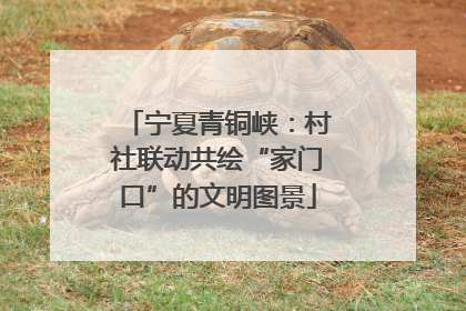 宁夏青铜峡：村社联动共绘“家门口”的文明图景
