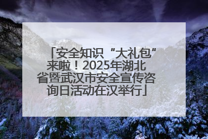安全知识“大礼包”来啦！2025年湖北省暨武汉市安全宣传咨询日活动在汉举行
