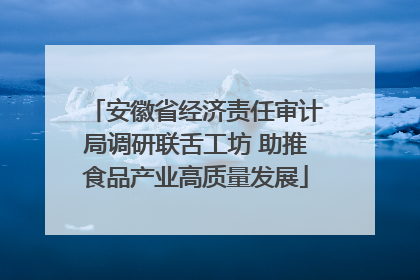 安徽省经济责任审计局调研联舌工坊 助推食品产业高质量发展