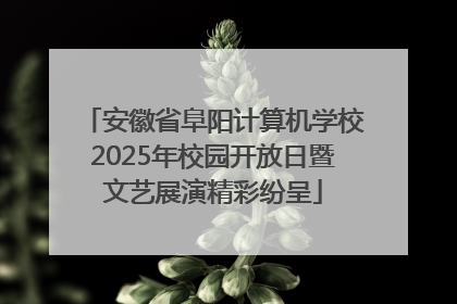 安徽省阜阳计算机学校2025年校园开放日暨文艺展演精彩纷呈