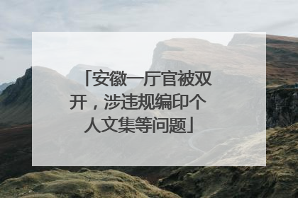 安徽一厅官被双开，涉违规编印个人文集等问题