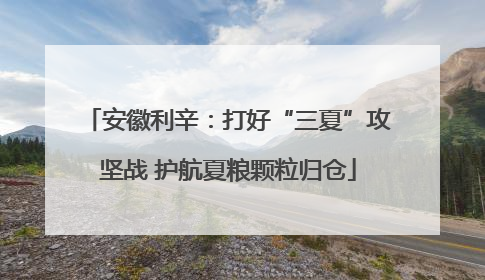安徽利辛：打好“三夏”攻坚战 护航夏粮颗粒归仓