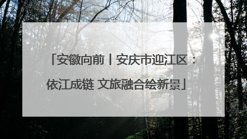 安徽向前丨安庆市迎江区：依江成链 文旅融合绘新景