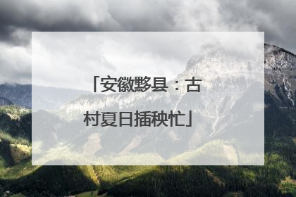 安徽黟县：古村夏日插秧忙