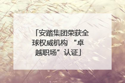 安踏集团荣获全球权威机构 “卓越职场”认证