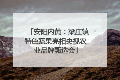 安阳内黄：梁庄镇特色蔬果亮相央视农业品牌甄选会