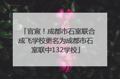 官宣！成都市石室联合成飞学校更名为成都市石室联中132学校
