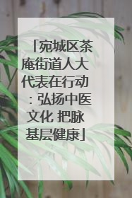 宛城区茶庵街道人大代表在行动：弘扬中医文化 把脉基层健康