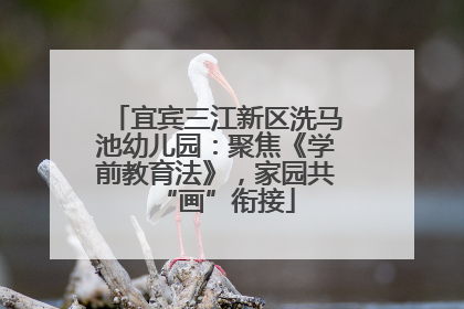 宜宾三江新区洗马池幼儿园：聚焦《学前教育法》，家园共“画”衔接
