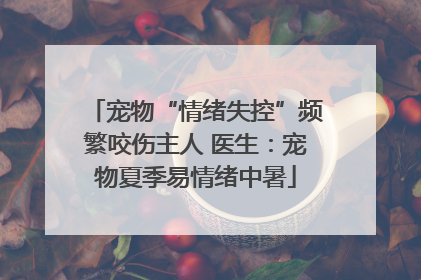 宠物“情绪失控”频繁咬伤主人 医生：宠物夏季易情绪中暑