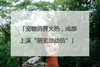 宠物消费火热，成都上演“萌宠总动员”