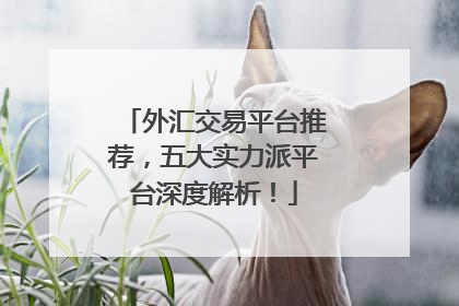 外汇交易平台推荐，五大实力派平台深度解析！