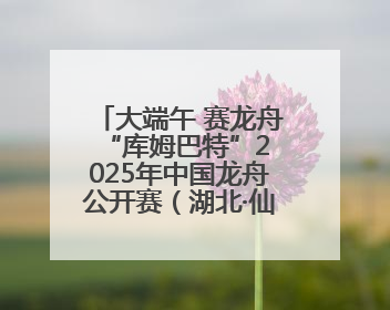 大端午 赛龙舟 “库姆巴特”2025年中国龙舟公开赛（湖北·仙桃站）开幕