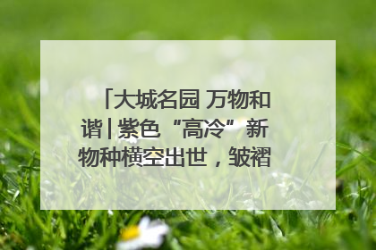 大城名园 万物和谐│紫色“高冷”新物种横空出世，皱褶叶片暗藏进化密码