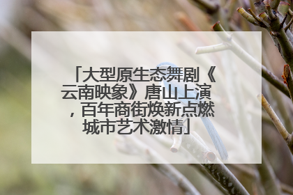 大型原生态舞剧《云南映象》唐山上演，百年商街焕新点燃城市艺术激情