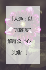 大通：以“加速度”解群众“心头难”