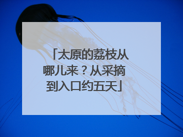 太原的荔枝从哪儿来？从采摘到入口约五天