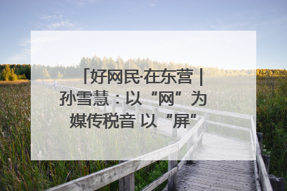 好网民·在东营｜孙雪慧：以“网”为媒传税音 以“屏”为介助发展