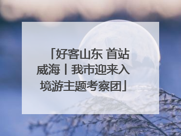 好客山东 首站威海丨我市迎来入境游主题考察团