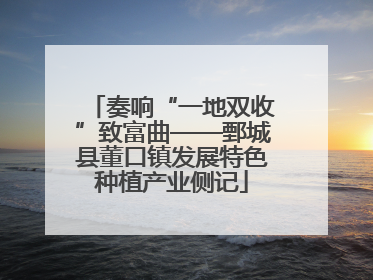 奏响“一地双收”致富曲——鄄城县董口镇发展特色种植产业侧记