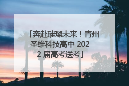奔赴璀璨未来！青州圣维科技高中 2022 届高考送考