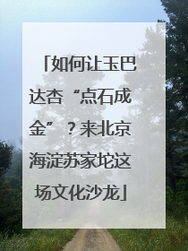 如何让玉巴达杏“点石成金”？来北京海淀苏家坨这场文化沙龙