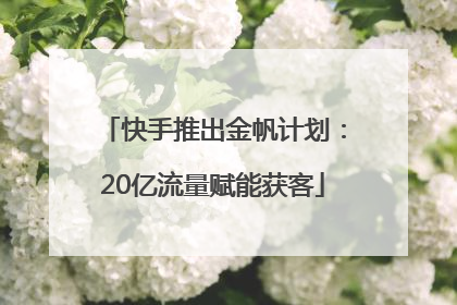快手推出金帆计划：20亿流量赋能获客