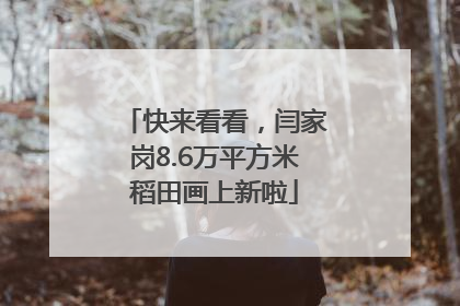 快来看看，闫家岗8.6万平方米稻田画上新啦
