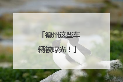 德州这些车辆被曝光！