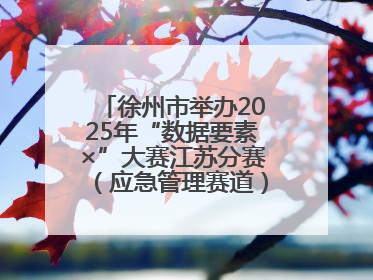 徐州市举办2025年“数据要素×”大赛江苏分赛（应急管理赛道）发布会