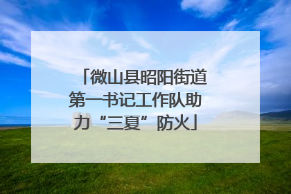 微山县昭阳街道第一书记工作队助力“三夏”防火