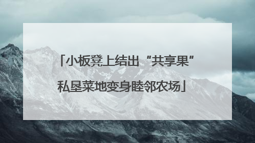 小板凳上结出“共享果” 私垦菜地变身睦邻农场