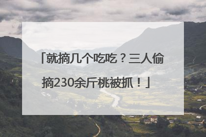 就摘几个吃吃？三人偷摘230余斤桃被抓！