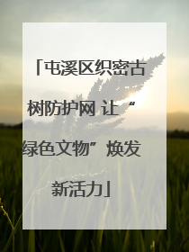 屯溪区织密古树防护网 让“绿色文物”焕发新活力