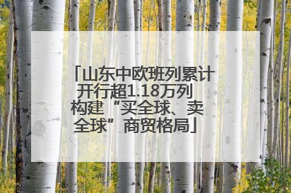 山东中欧班列累计开行超1.18万列 构建“买全球、卖全球”商贸格局