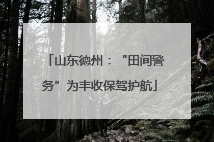 山东德州：“田间警务”为丰收保驾护航